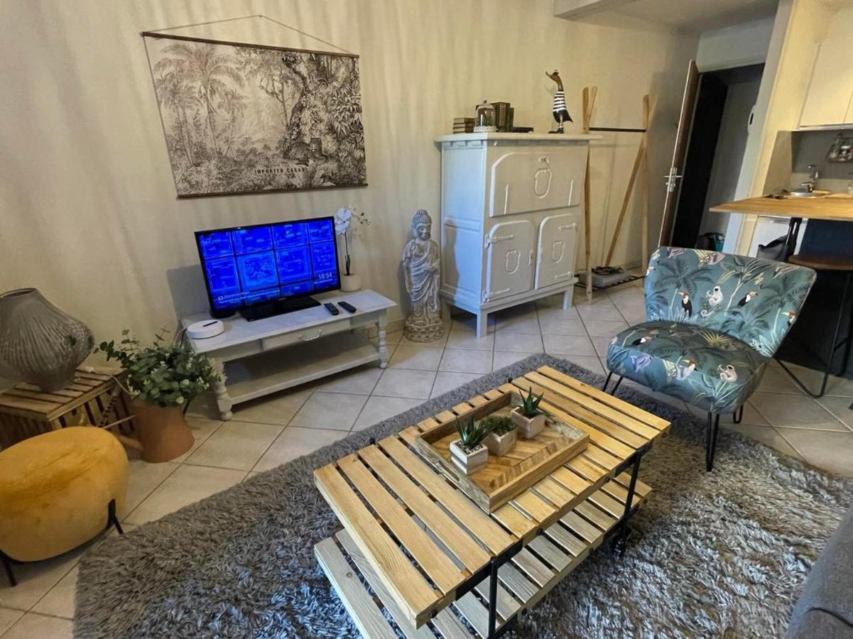 ואנה Le Patio, Coeur De Ville Avec Garage Et Jardin מראה חיצוני תמונה